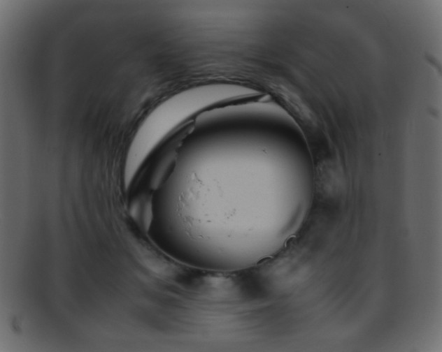 X0000095690509200801081251