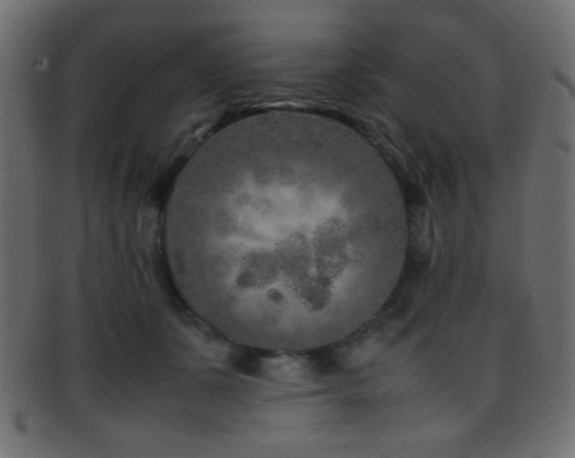X0000095690511200801081251