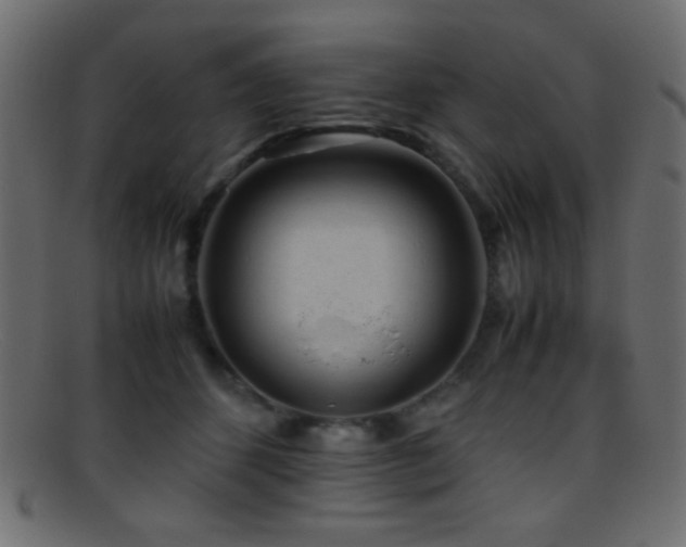 X0000095690512200801081251