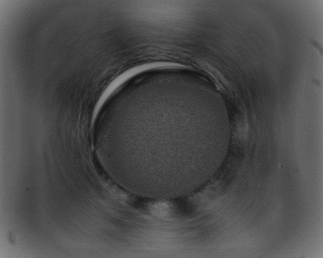 X0000095690513200801081251