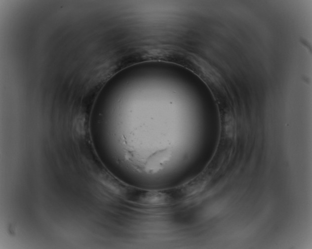 X0000095690514200801081251