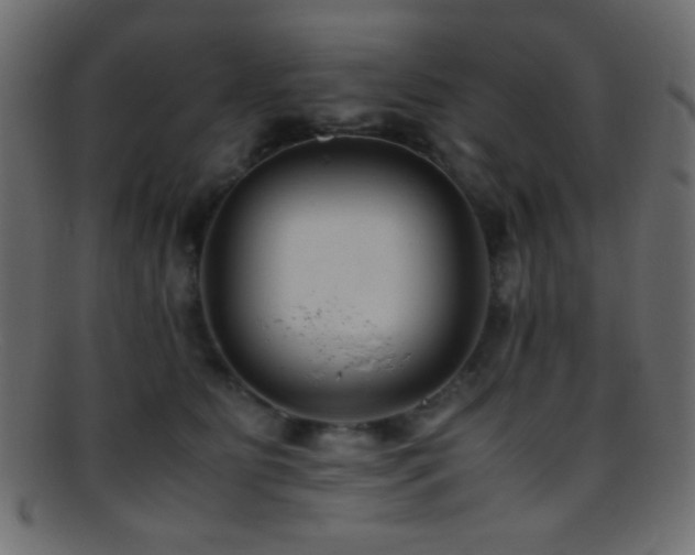 X0000095690515200801081251
