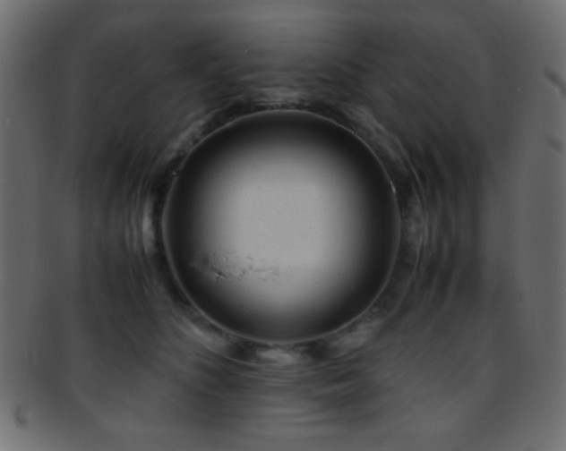 X0000095690516200801081251