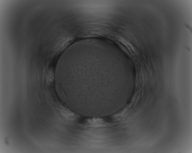 X0000095690517200801081251