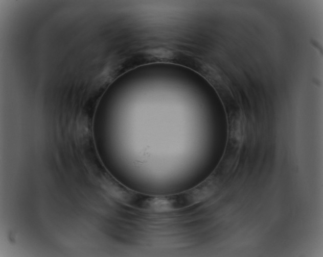 X0000095690518200801081251