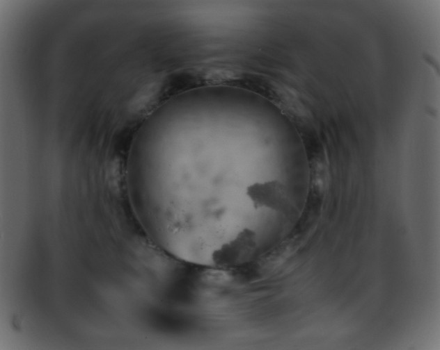 X0000095690519200801081251