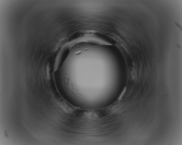 X0000095690520200801081251