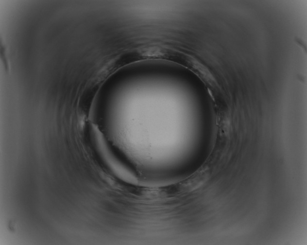 X0000095690521200801081251
