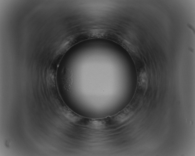 X0000095690522200801081251
