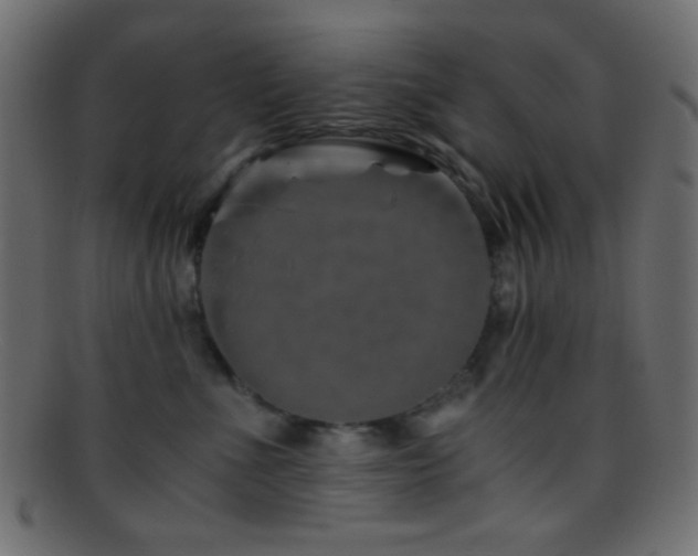 X0000095690523200801081251
