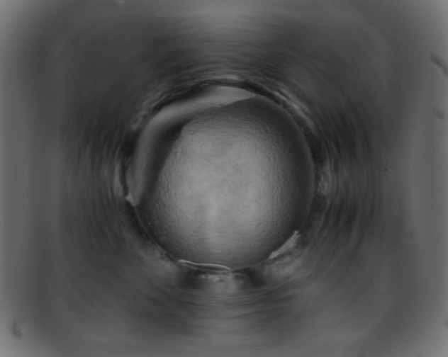 X0000095690524200801081251
