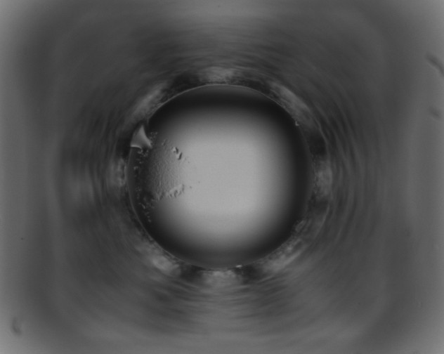 X0000095690525200801081251