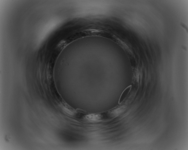X0000095690526200801081251