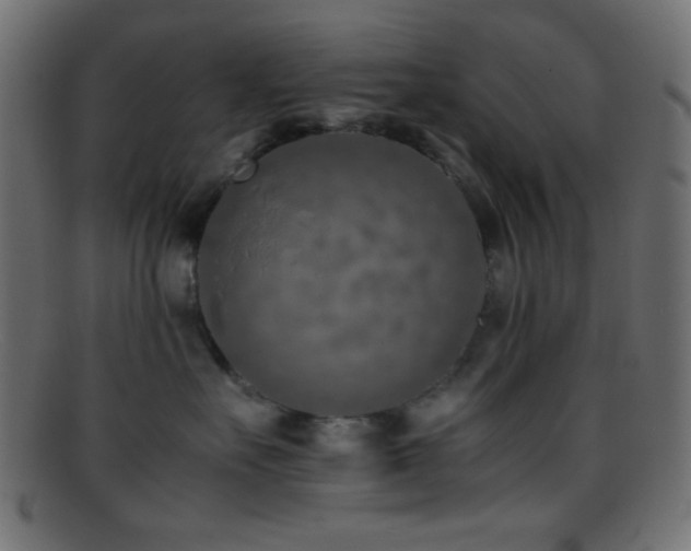X0000095690527200801081251