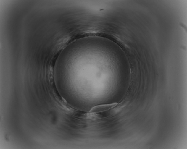 X0000095690528200801081251