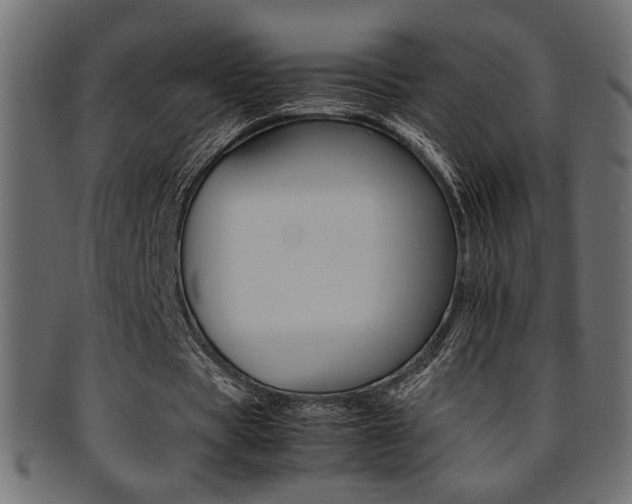X0000095690529200801081250