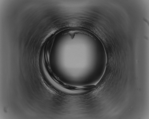 X0000095690530200801081250