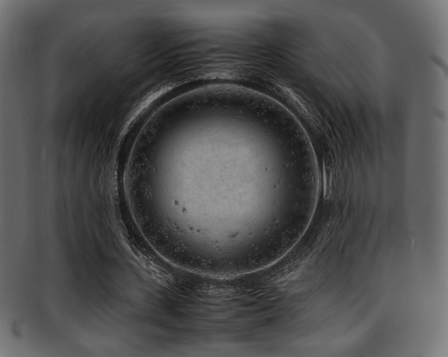 X0000095690531200801081250