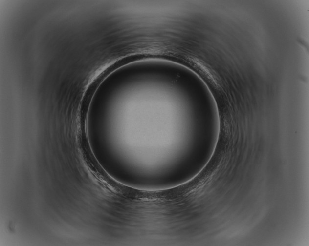 X0000095690532200801081250