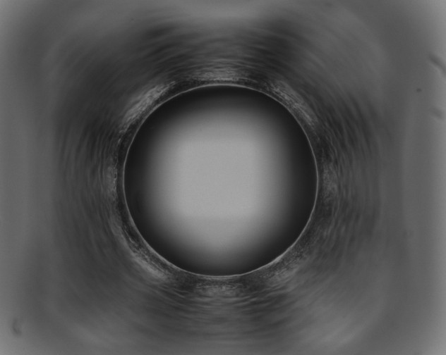 X0000095690533200801081250