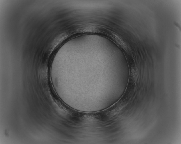 X0000095690534200801081250