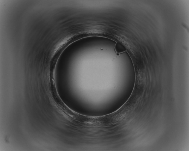 X0000095690535200801081250