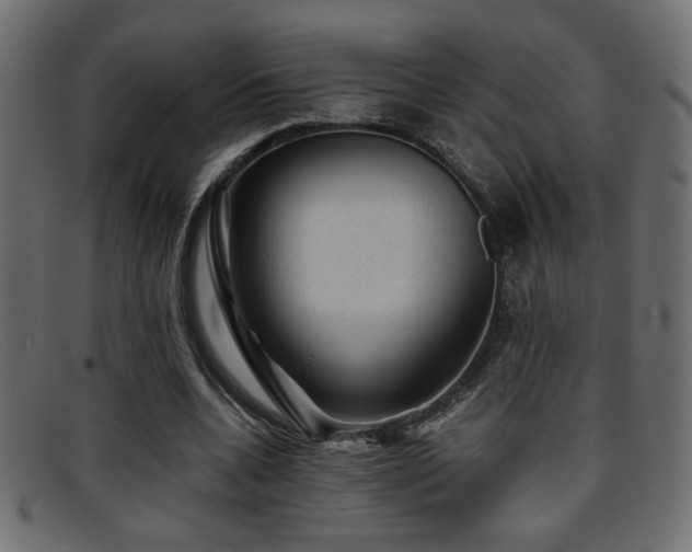X0000095690536200801081250