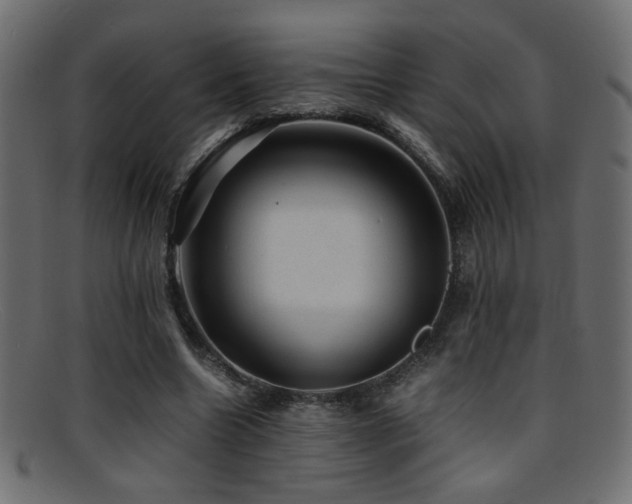 X0000095690538200801081250