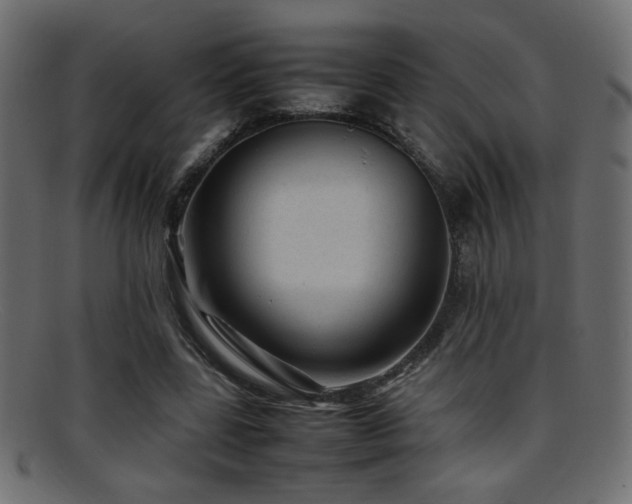 X0000095690539200801081250