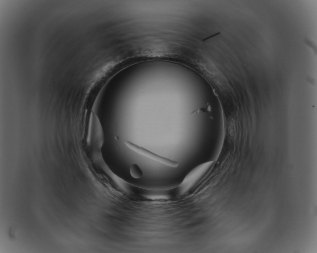 X0000095690540200801081250