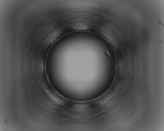 X0000095690541200801081250