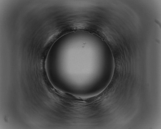 X0000095690543200801081250