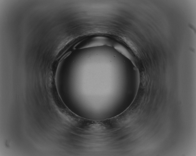 X0000095690544200801081250