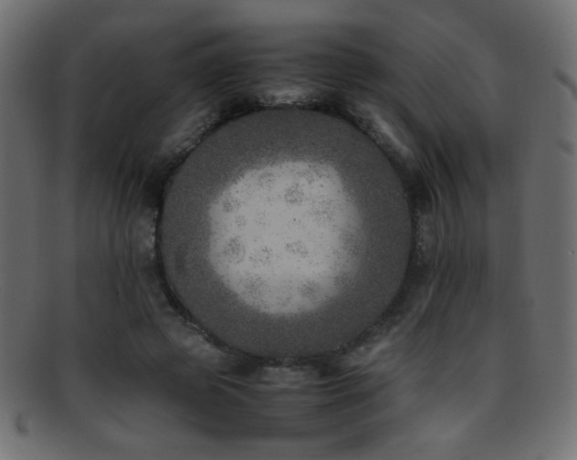 X0000095690545200801081250