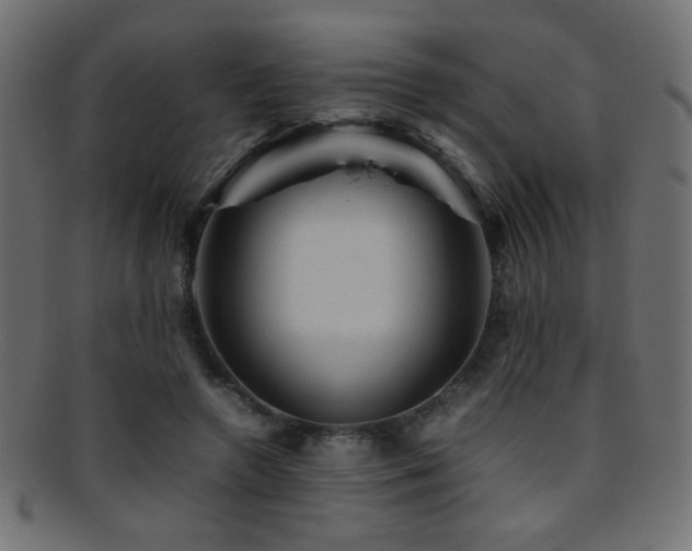 X0000095690546200801081250