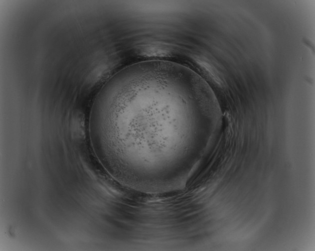 X0000095690547200801081250
