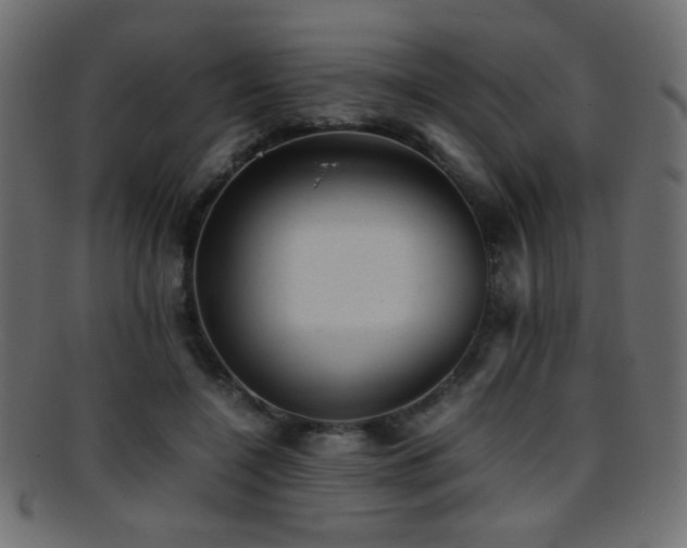 X0000095690548200801081250