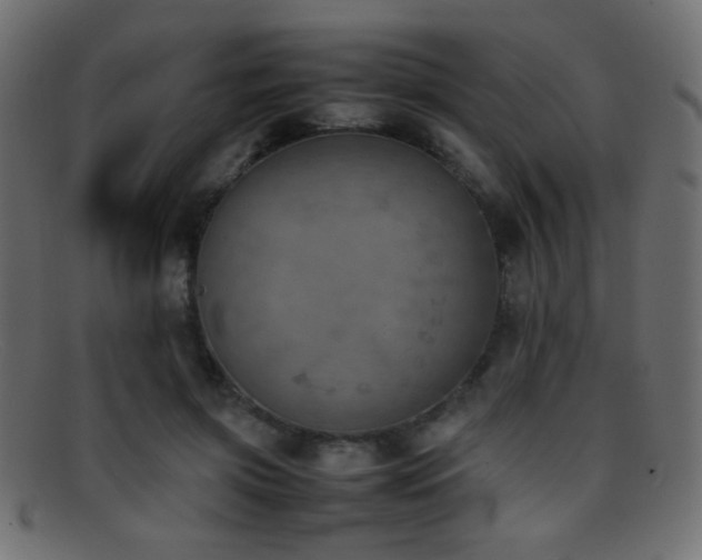 X0000095690549200801081250