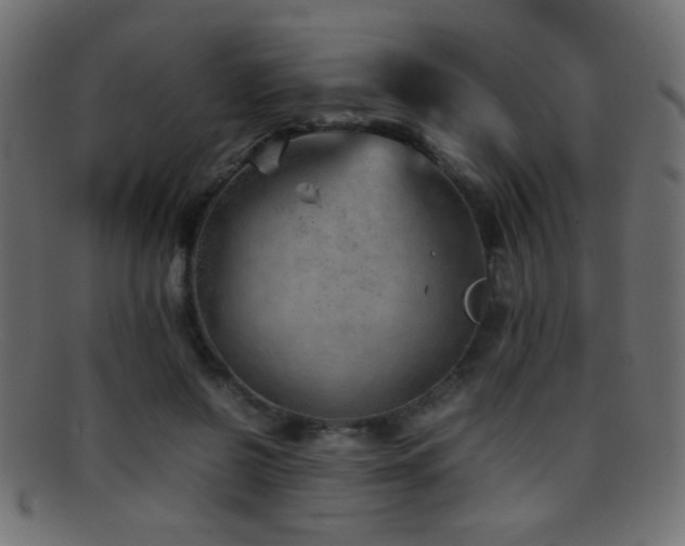 X0000095690550200801081250