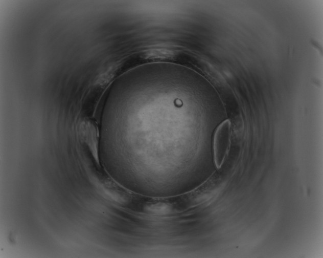 X0000095690551200801081250