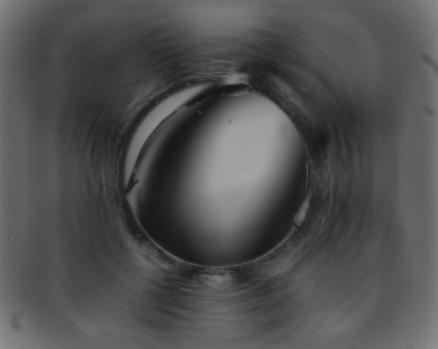 X0000095690552200801081250