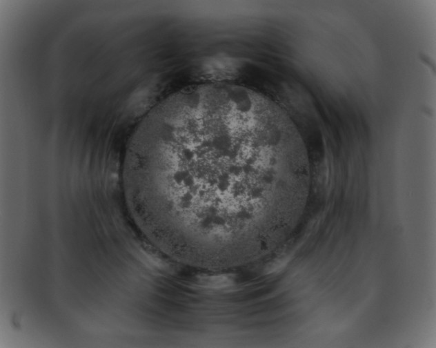 X0000095690553200801081250