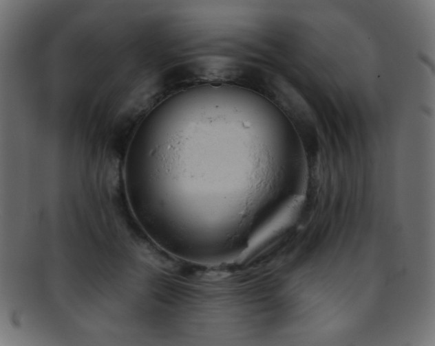 X0000095690554200801081250