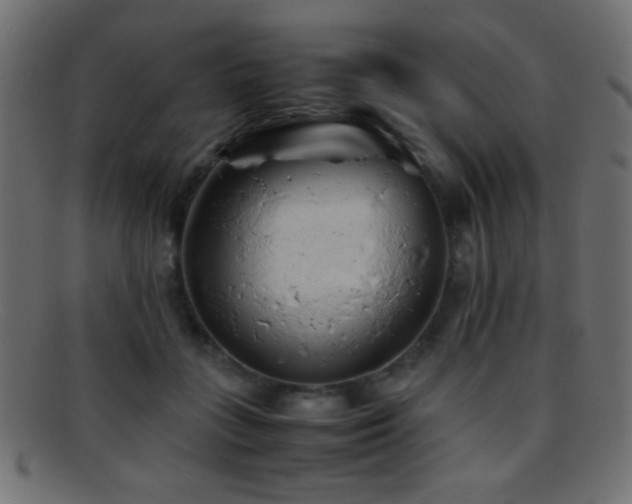 X0000095690555200801081250