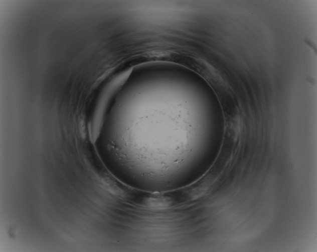 X0000095690556200801081250