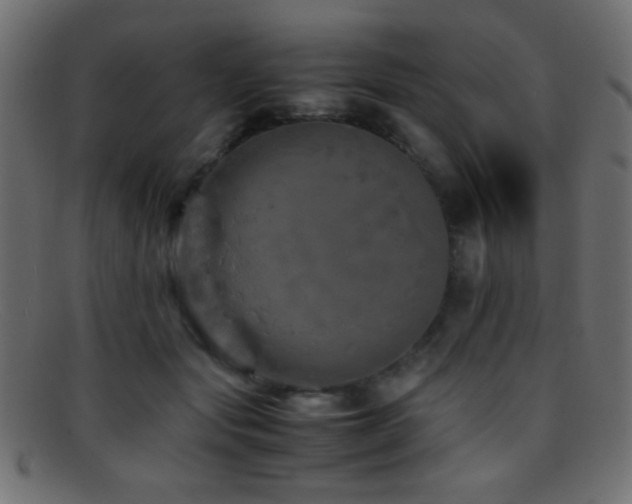 X0000095690557200801081250
