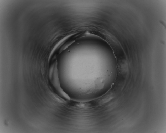 X0000095690558200801081250