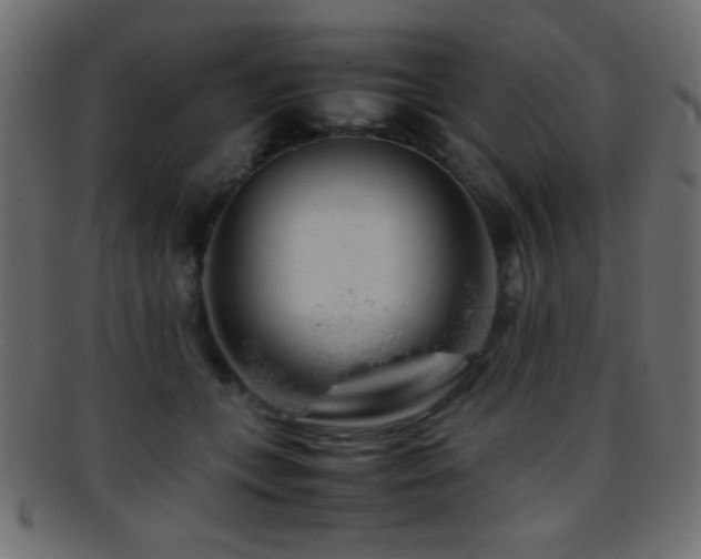 X0000095690559200801081250