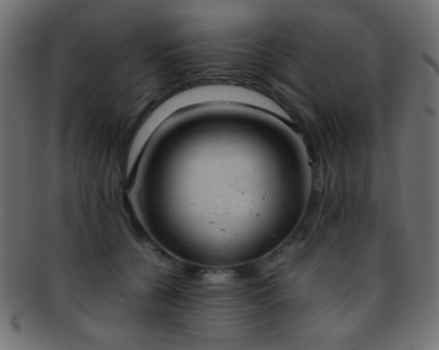 X0000095690560200801081250