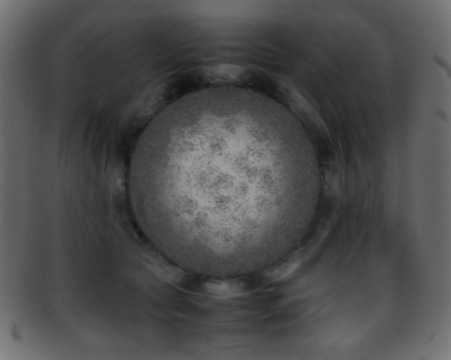 X0000095690561200801081250